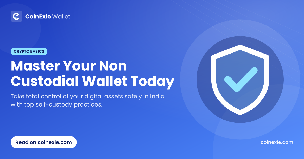 Master Your Non Custodial Wallet Today
